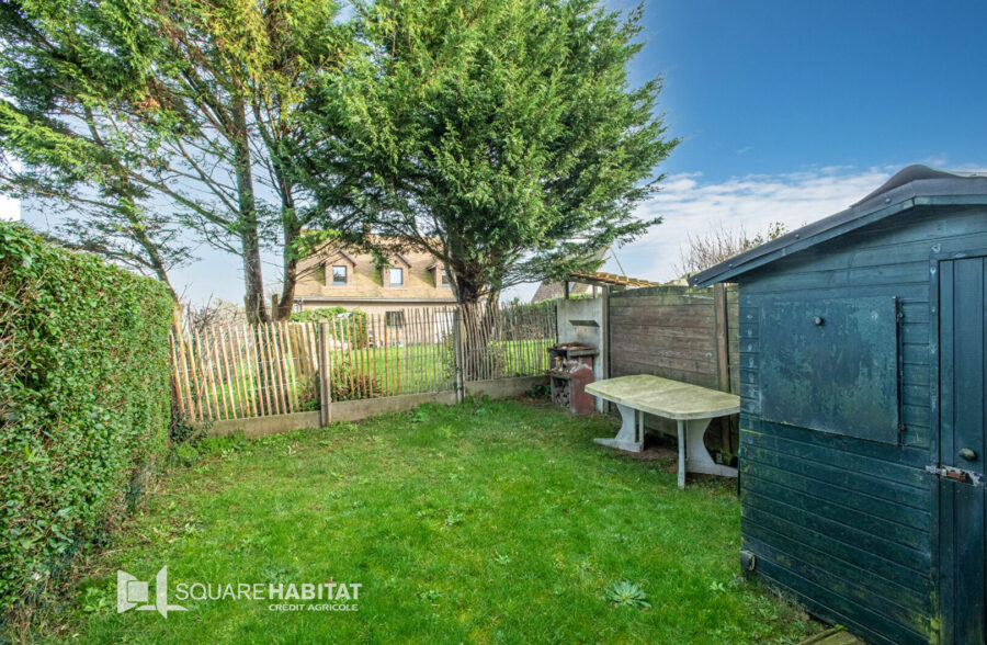 AMBLETEUSE BORD DE MER