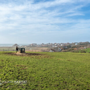 AMBLETEUSE BORD DE MER