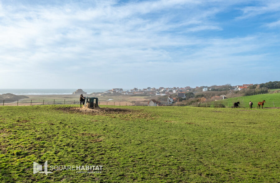 AMBLETEUSE BORD DE MER