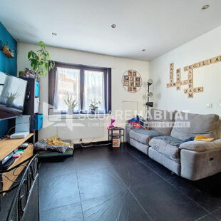 Maison semi flamande sans travaux, au calme.