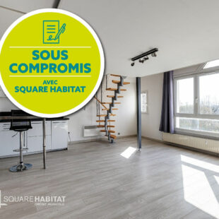 Appartement Villeneuve D Ascq 2 pièce(s) <small>&nbsp;Sous compromis&nbsp;</small>