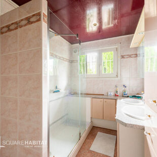 Maison Saint Amand Les Eaux 7 pièce(s) 180 m2