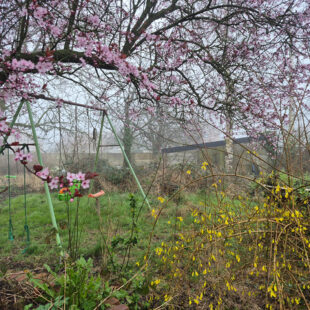Maison Marles Les Mines 6 pièce(s) 100 m2