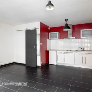 LILLE Cormontaigne: Studio de 21,2 m² avec  une cour privative