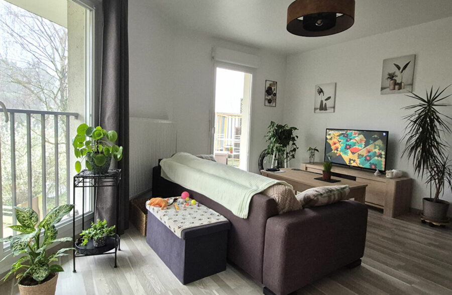SUPERBE OPPORTUNITE D’INVESTISSEMENT LOCATIF – STUDIO VENDU LOUE AVEC BALCON ET PARKING