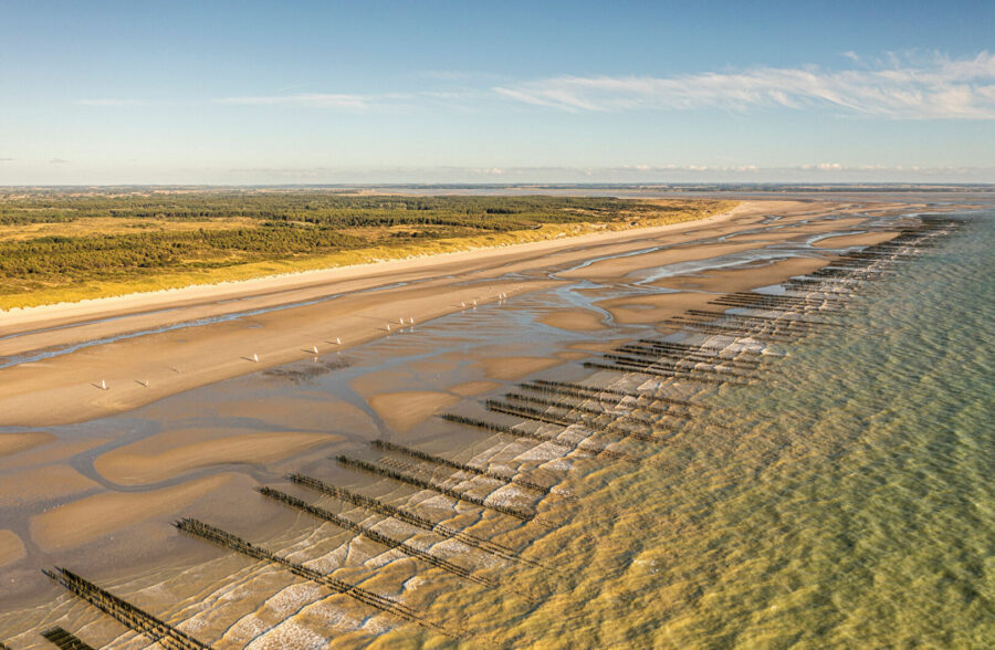 Quend-Plage-les-pins , parcelle de terrain à bâtir de 1150 m2 .