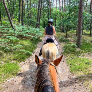 Quend-Plage-les-pins , parcelle de terrain à bâtir de 1150 m2 .