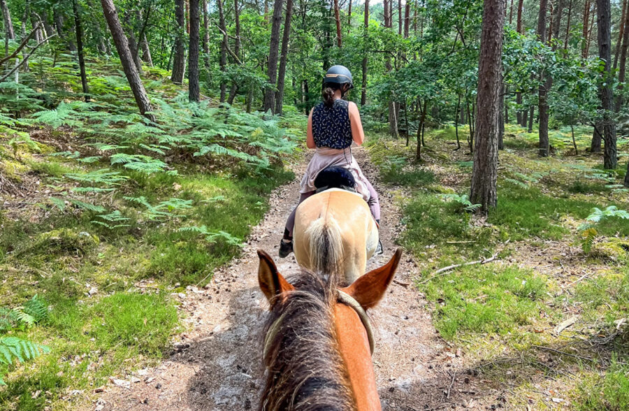 Quend-Plage-les-pins , parcelle de terrain à bâtir de 2200 m2 .
