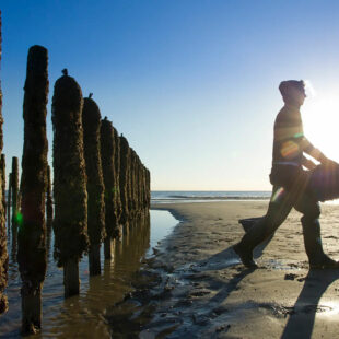 Quend-Plage-les-pins , parcelle de terrain à bâtir de 2200 m2 .