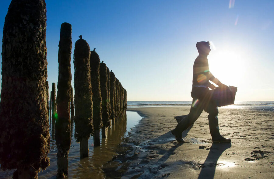 Quend-Plage-les-pins , parcelle de terrain à bâtir de 2200 m2 .