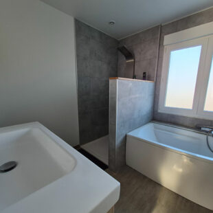 Maison Lambersart Canon d’Or/ Pont Royal