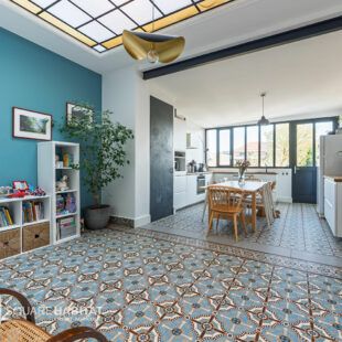 Canon d’Or – Pont Royal – superbe maison avec garage et joli jardin proche vieux-lille, deûle et commodités