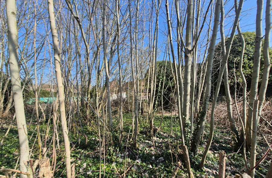 Maison Bruay La Buissiere 95 m2