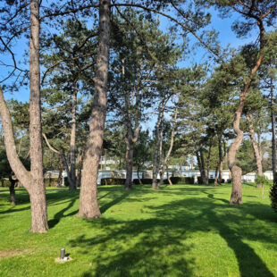 Maison Le Touquet Paris Plage 2 pièce(s) 39 m2