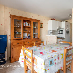 GRAND STUDIO + CABINE + Terrasse vue mer et Garage – 100 m PLAGE