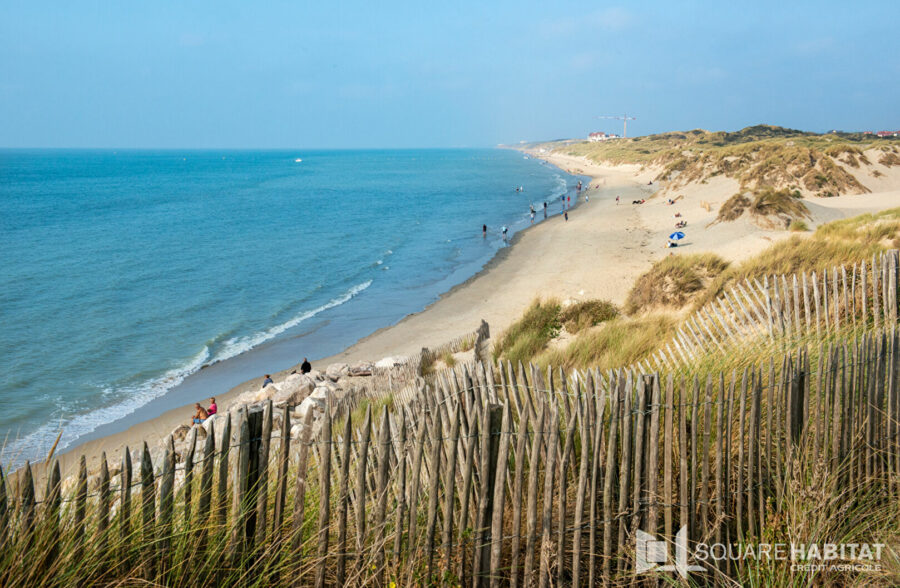 GRAND STUDIO + CABINE + Terrasse vue mer et Garage – 100 m PLAGE