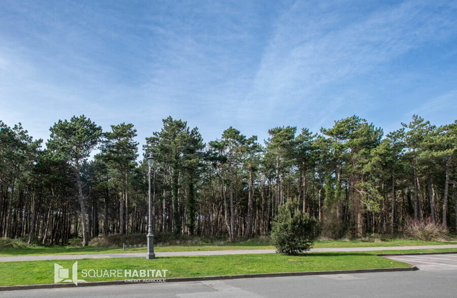 Appartement  T3 face Pinède!