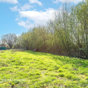 Maison Vieux Condé rénovée sur 406 m²