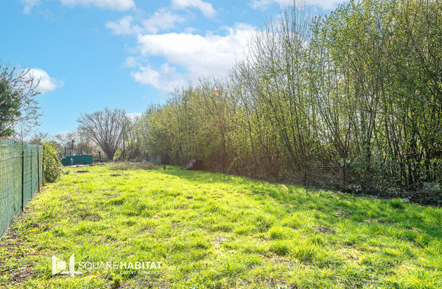 Maison Vieux Condé rénovée sur 406 m²