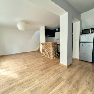 EXCLUSIVITÉ WAZEMMES – SAINT-MICHEL : CHARMANT T2 BIS EN TRIPLEX AVEC TERRASSE PRIVATIVE