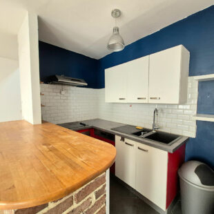 EXCLUSIVITÉ WAZEMMES – SAINT-MICHEL : CHARMANT T2 BIS EN TRIPLEX AVEC TERRASSE PRIVATIVE