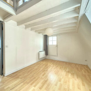 EXCLUSIVITÉ WAZEMMES – SAINT-MICHEL : CHARMANT T2 BIS EN TRIPLEX AVEC TERRASSE PRIVATIVE