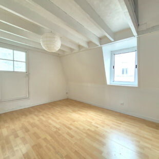 EXCLUSIVITÉ WAZEMMES – SAINT-MICHEL : CHARMANT T2 BIS EN TRIPLEX AVEC TERRASSE PRIVATIVE