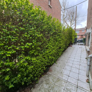 LOOS – CENTRE VILLE – MAISON – 3 CHAMBRES – GARAGE – JARDIN