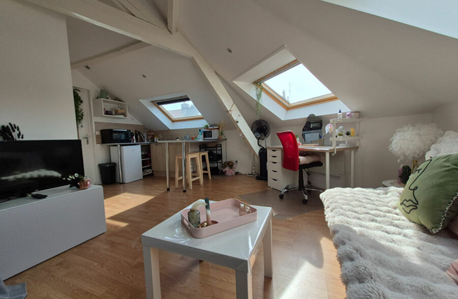 Charmant studio sous les toits – Dernier étage – 23 m² au sol – Idéal investisseur !