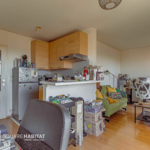 Appartement  2 pièce(s) 41 m2