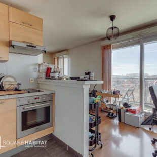 Appartement  2 pièce(s) 41 m2