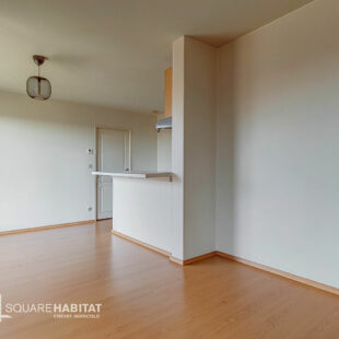Appartement  2 pièce(s) 41 m2