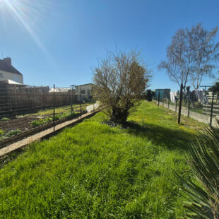 Maison Auberchicourt 5 pièce(s) 80 m2