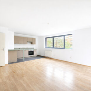 Appartement Lille BOIS BLANCS 4 pièces 90 m2