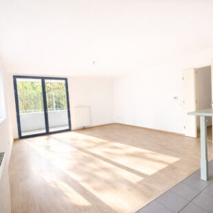 Appartement Lille BOIS BLANCS 4 pièces 90 m2