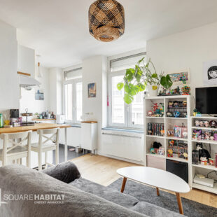 LILLE THEATRE SEBASTOPOL : T2 traversant de 32m² dernier étage