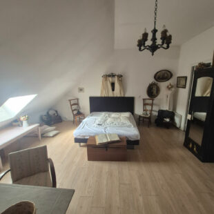 À VENDRE – IMMEUBLE MIXTE AVEC LOCAL PROFESSIONNEL ET BEAU DUPLEX – emplacement n°1