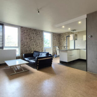 APPARTEMENT TYPE 2 AVEC BALCON ET PARKING