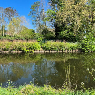 Maison Saint Amand Les Eaux 7 pièce(s) 80 m2