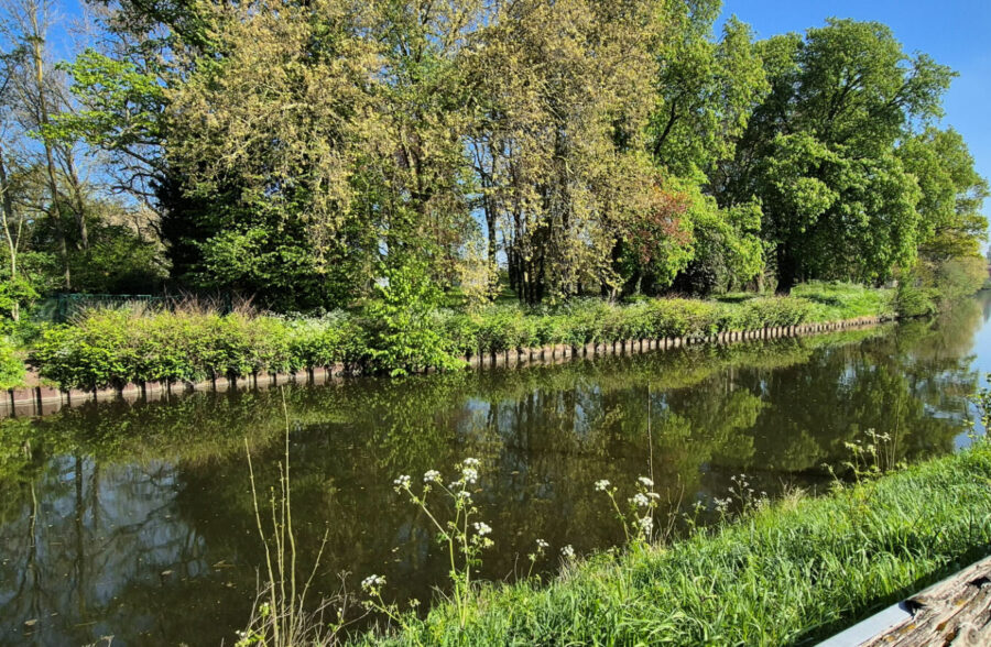 Maison Saint Amand Les Eaux 7 pièce(s) 80 m2