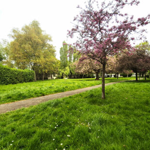 APPARTEMENT 77 m² A PROXIMITE IMMEDIATE DU BOULEVARD GAMBETTA