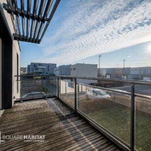 FACHES THUMESNIL
