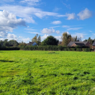 Terrain  801m2 te 23 m de façade Lot 3