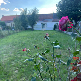 Maison HAILLICOURT