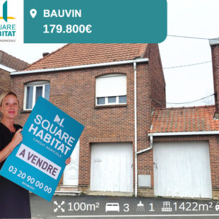 Maison Bauvin 4 pièce(s) 100 m2