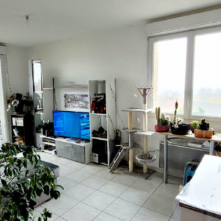 Appartement T3 Bailleul vendu loué