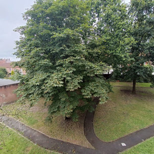 Appartement entièrement rénové avec grande terrasse