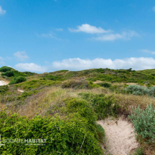 2 pièces a 50 mètres de la plage aux pieds des Dunes