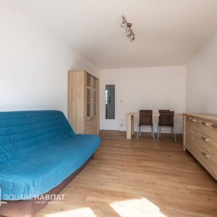 Appartement 1 chambre avec balcon sud