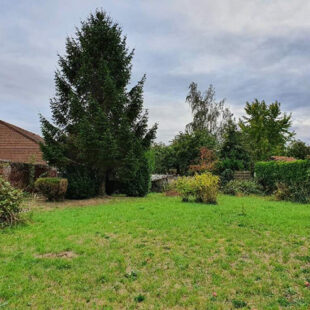 Terrain Erre 572 m2